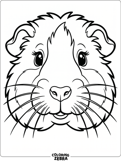 A close-up guinea pig face with whiskers and rounded cheeks