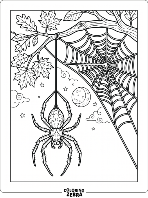 Spider on a web with a moon