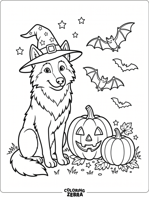 A wolf in a witch hat for Halloween