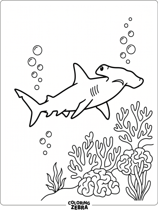 A hammerhead shark swims past coral and bubbles