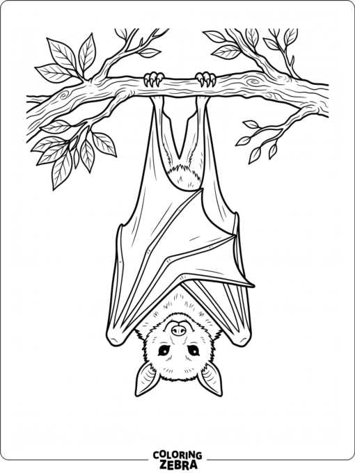 A bat hanging from a branch with its feet hooked over it