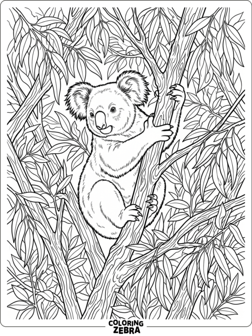 A koala climbing through branches