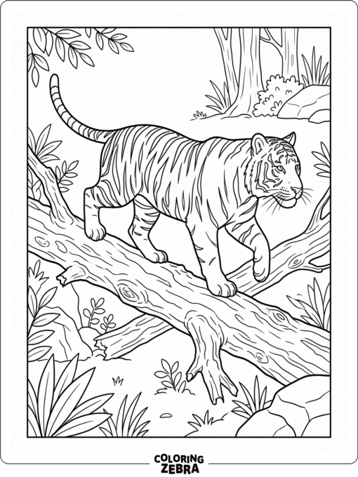 A tiger climbing over a fallen branch