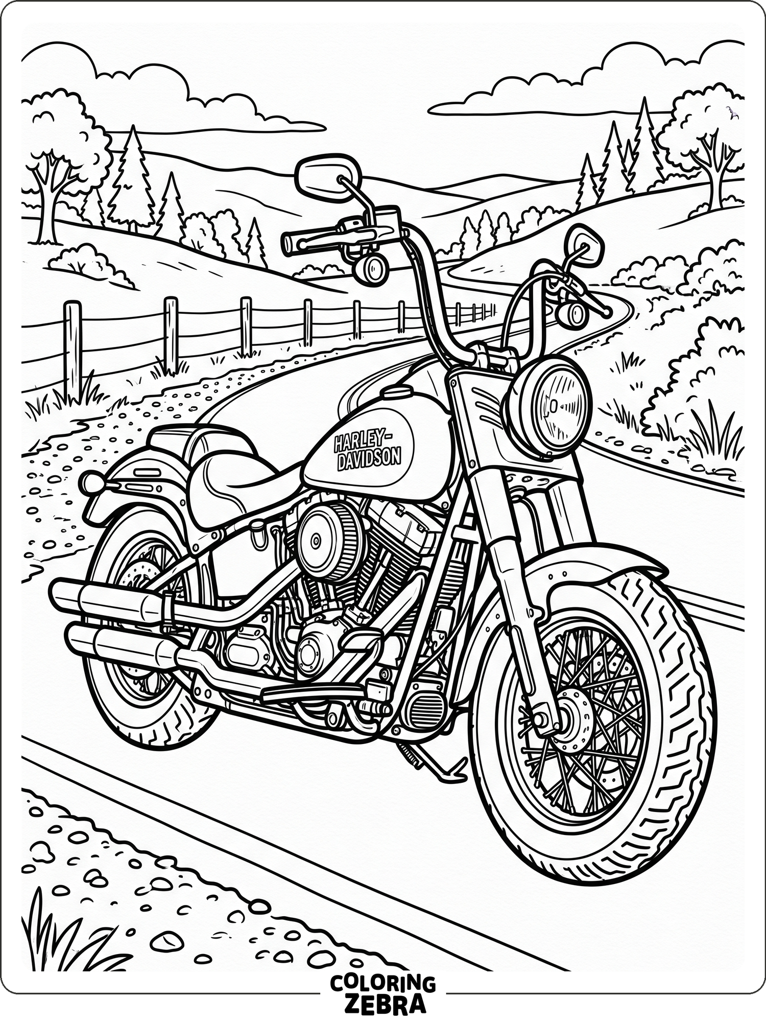 Harley-Davidson motorcycle parked by the road