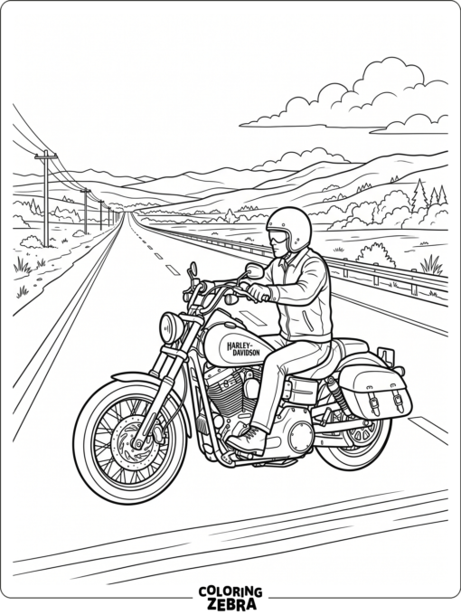 Harley Davidson motorcycle cruising on an open road