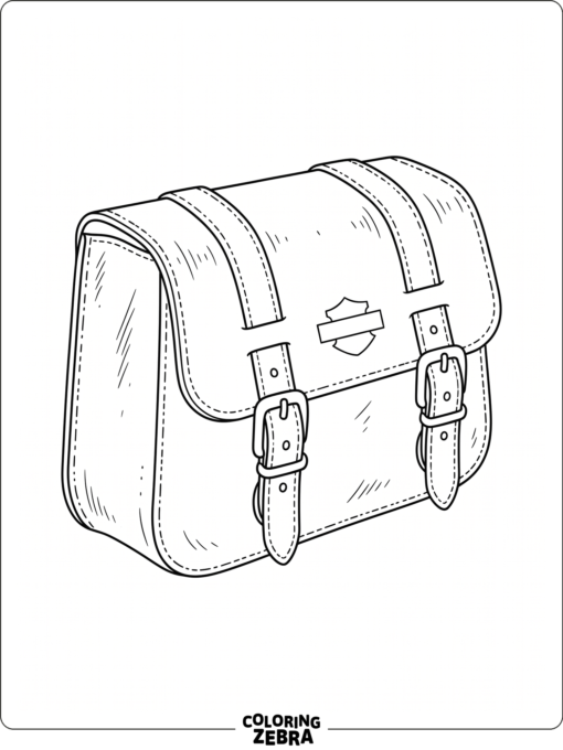 Motorcycle saddlebag with buckles and flap