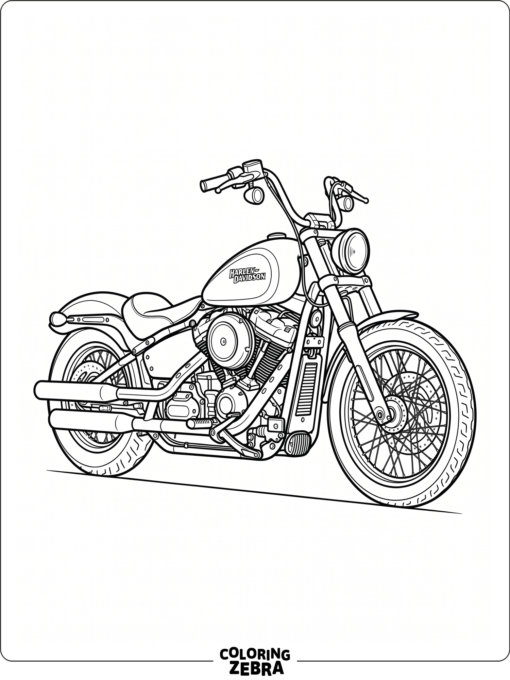 Softail bike with low stance and smooth body