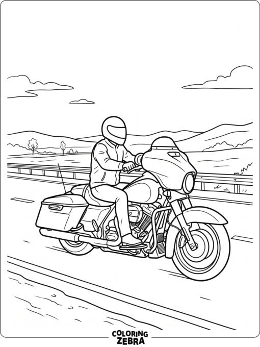 Street Glide touring bike on a simple highway