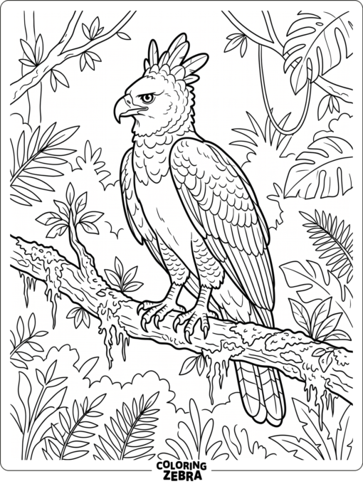 A harpy eagle perched on a jungle branch