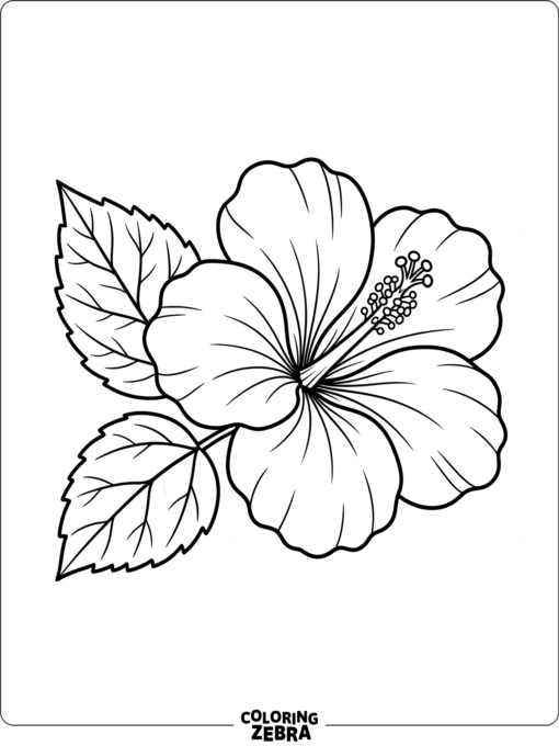 A hibiscus flower with one leaf and a large center