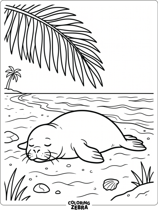 A Hawaiian monk seal resting on sand