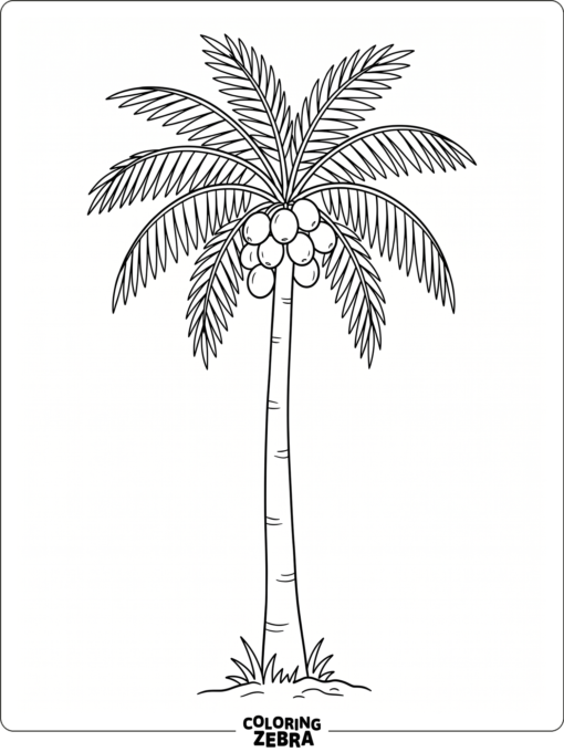 A coconut palm tree with coconuts near the top