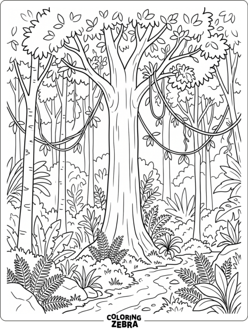 A tropical rainforest with tall trees and ferns