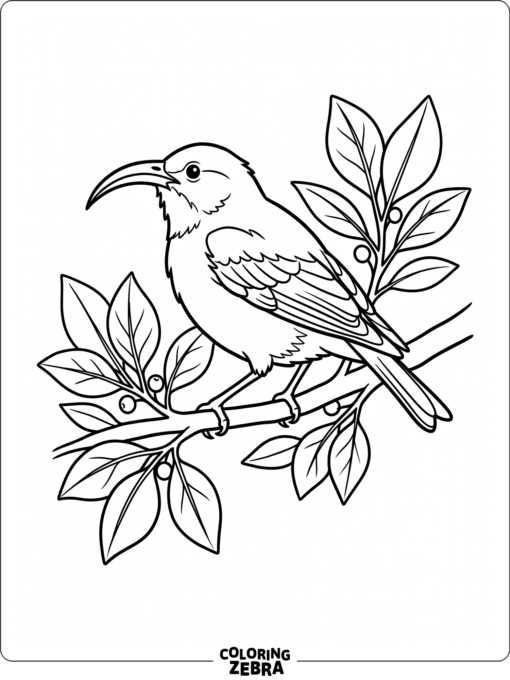 A Hawaiian bird perched on a branch