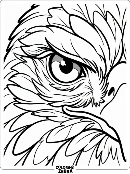 A close-up hawk eye with surrounding feathers