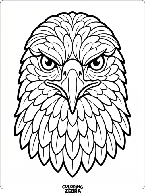 A front view of a hawk head