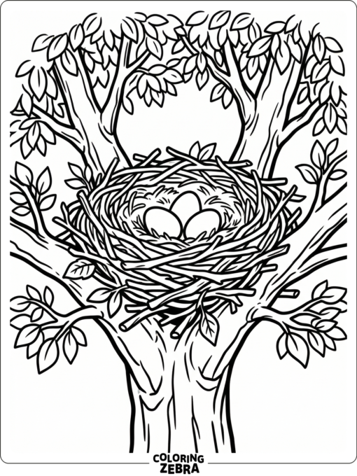 A hawk nest in a tree with eggs