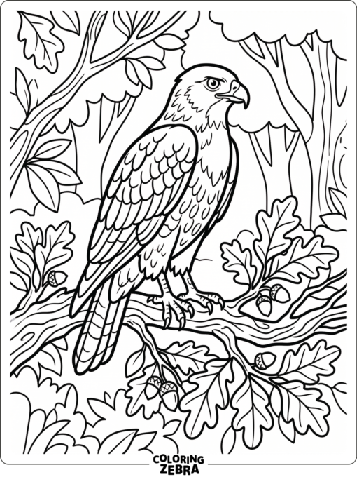 A hawk perched on a branch above leaves