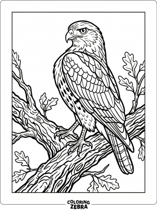 A detailed hawk perched on a textured branch