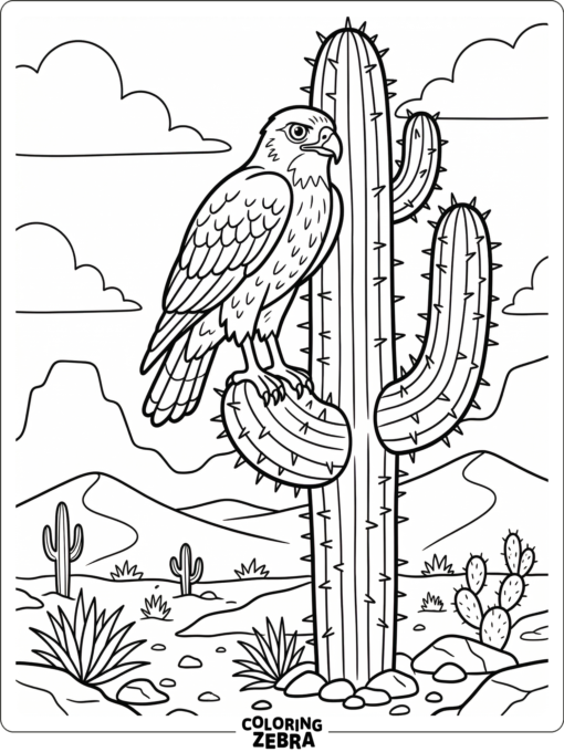 A hawk perched on a cactus in a desert