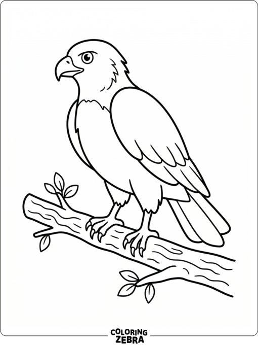 A simple hawk standing on a branch