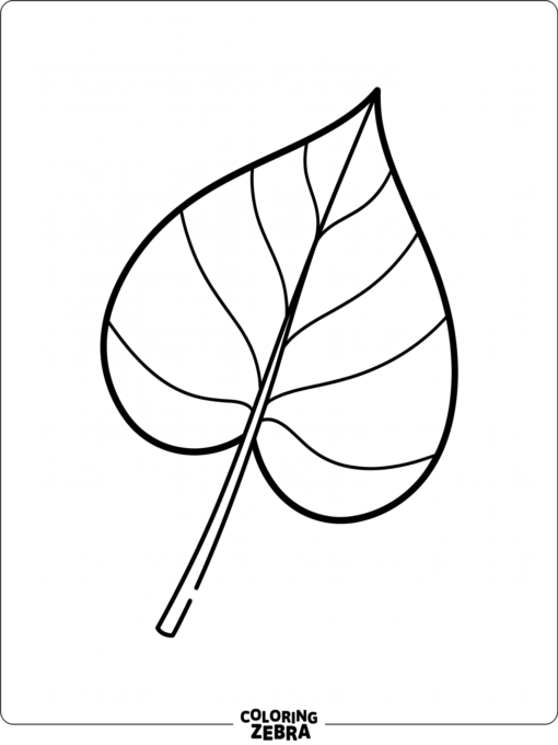 A heart-shaped leaf with a clean outline