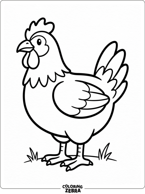A hen standing calmly with folded wings