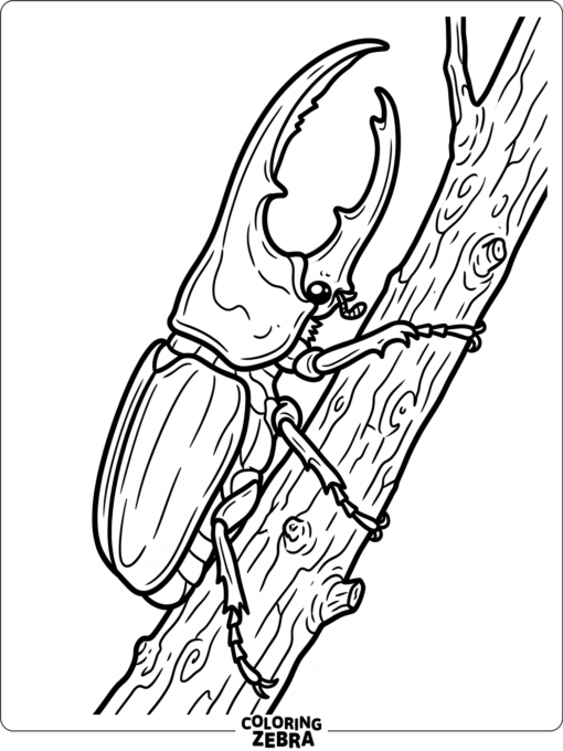 A hercules beetle climbing a branch