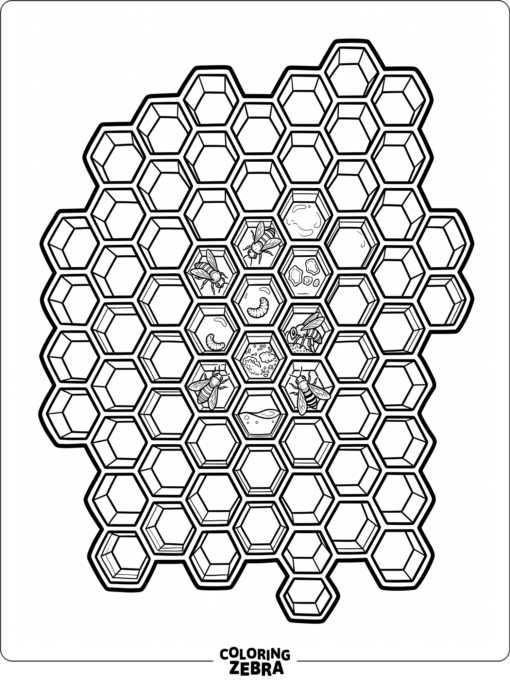 Un conjunto de hexágonos en forma de panal con contornos marcados