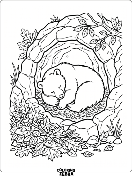 A hibernating bear curled in a cave