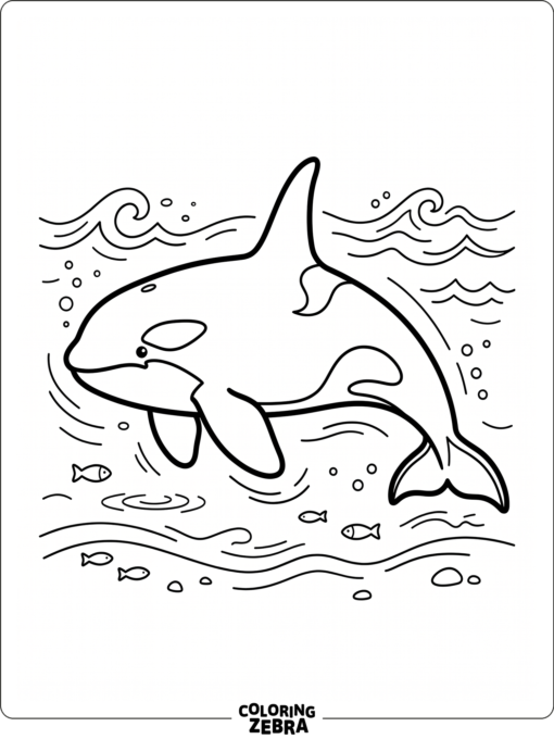 A high detail orca outline in open water
