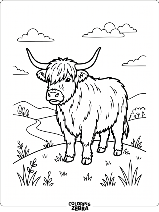 A shaggy highland cow with long fur and curved horns stands on a hill.
