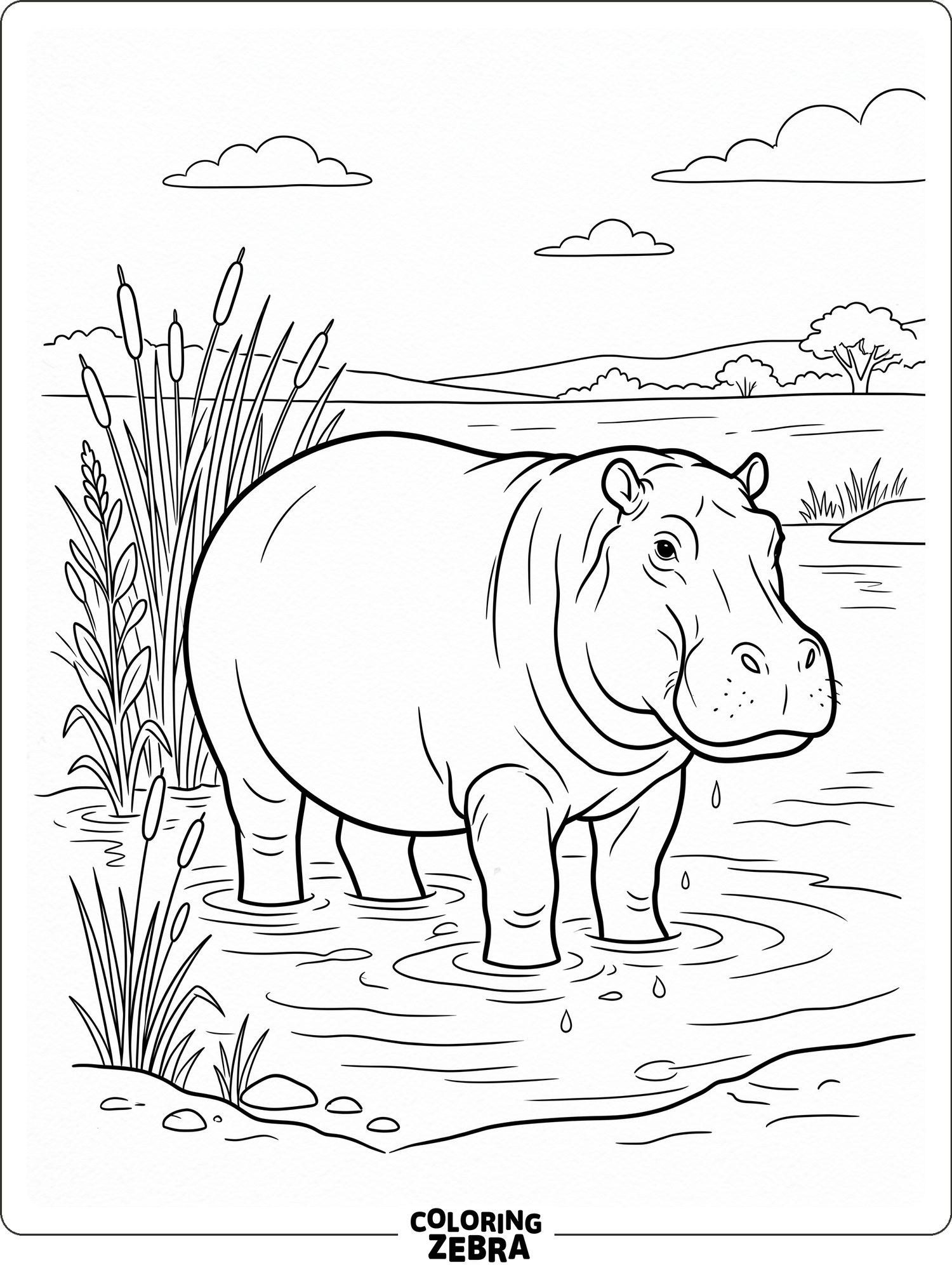 A big hippo in shallow water with reeds around it