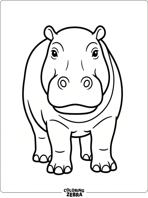 A hippo facing forward with round nostrils