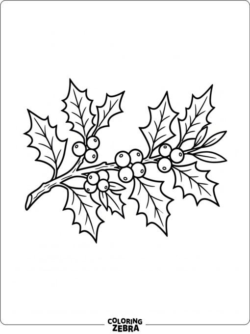 A holly branch with pointed leaves and berries
