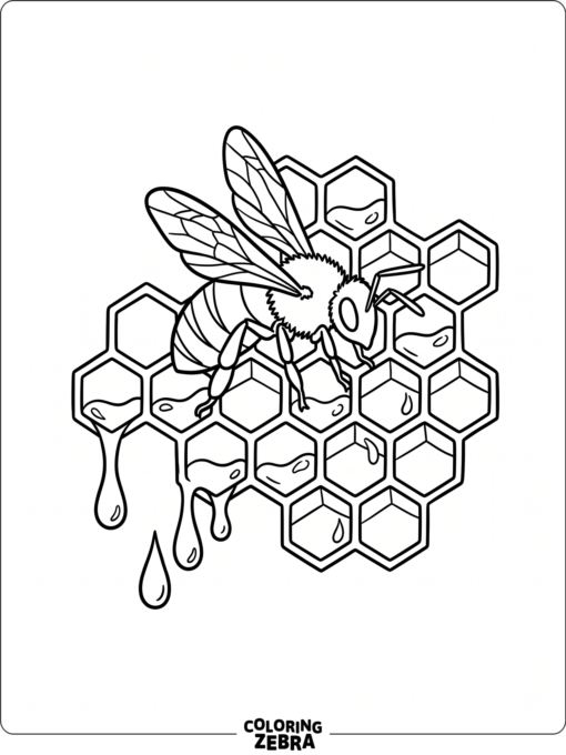 A honey bee resting on honeycomb cells