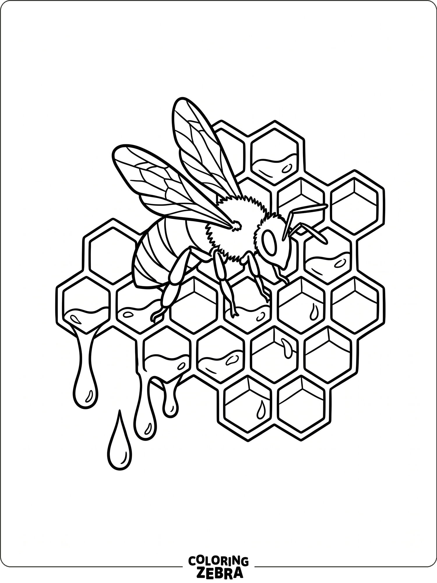40 Free Bee Coloring Pages - Printable PDF Sheets