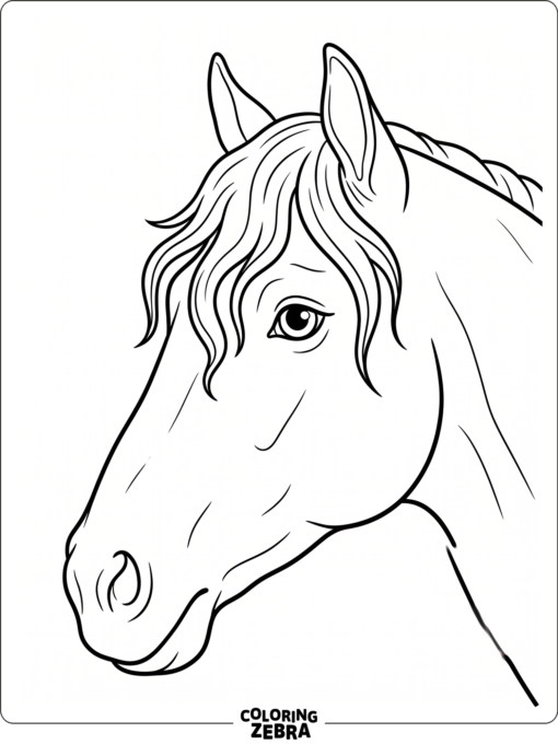 A close-up horse face with soft eyes