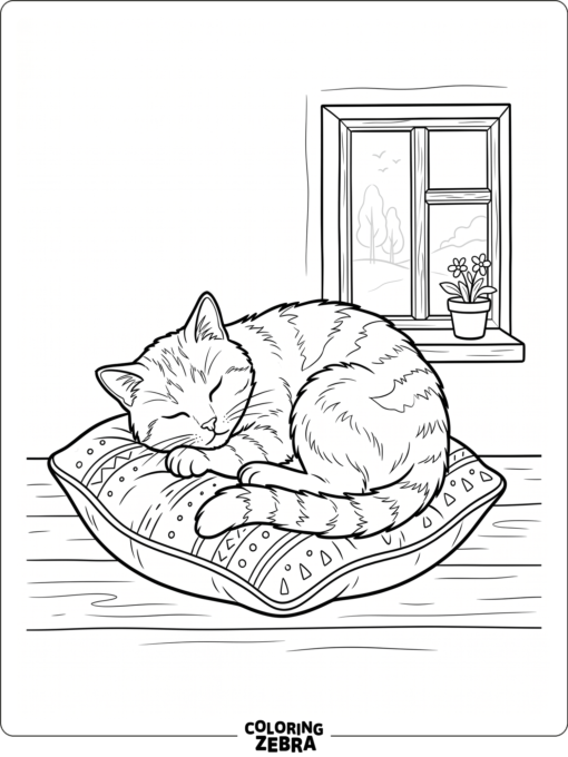 A house cat curled on a cushion