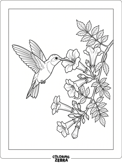 A hummingbird hovers by a trumpet flower with long wings and a simple stem