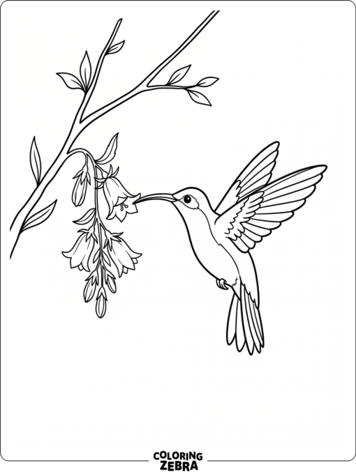 A hummingbird hovering by a bell flower