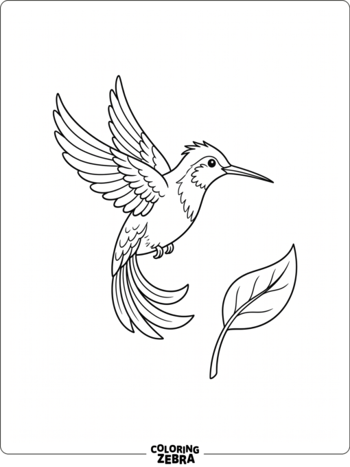 A hummingbird in flight above a leaf