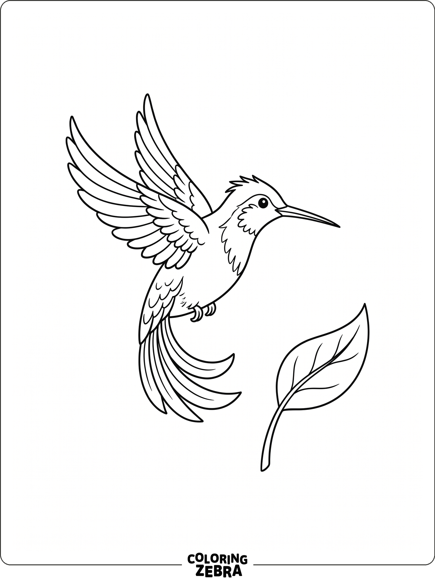 A hummingbird in flight above a leaf