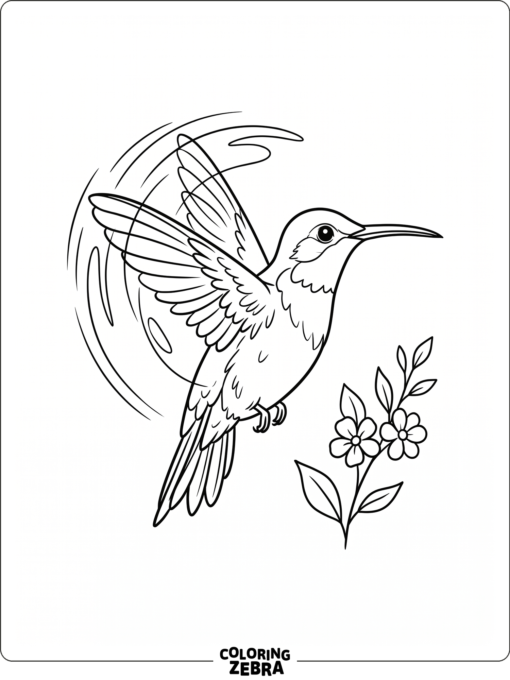 A hummingbird hovering with curved wings