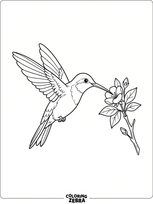 A hummingbird flying near a blossom