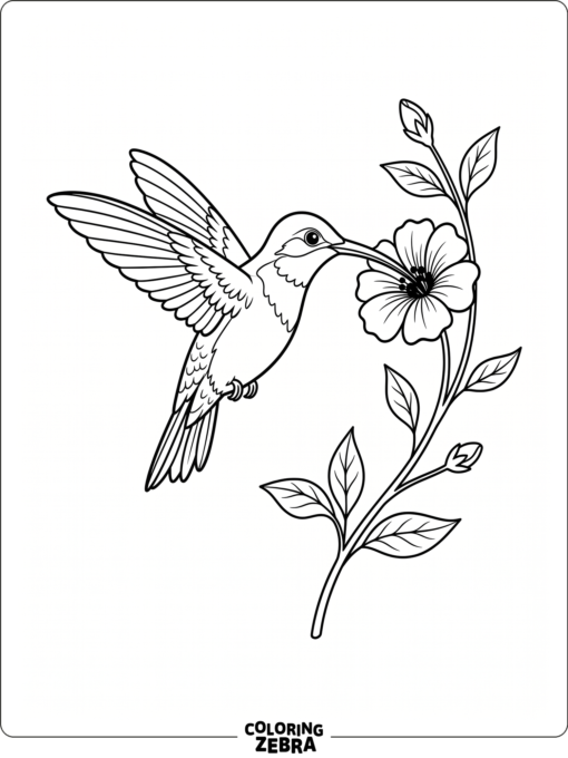 A hummingbird sipping nectar from a flower