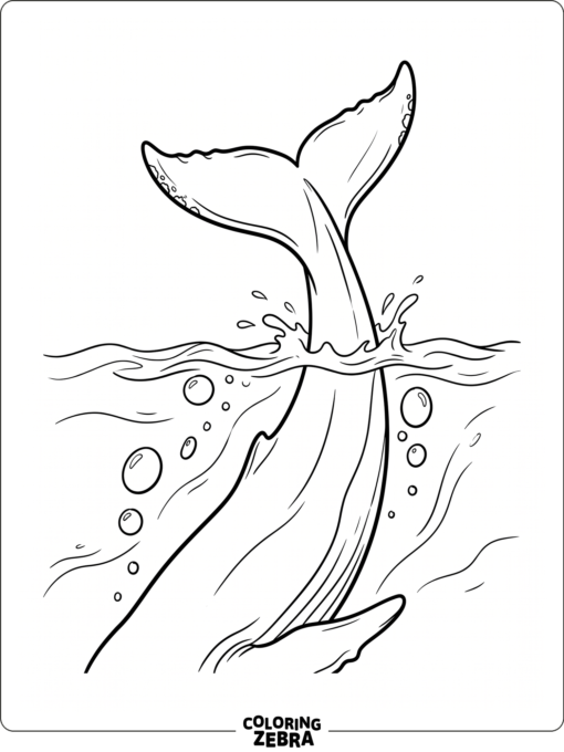 A humpback whale diving below the surface