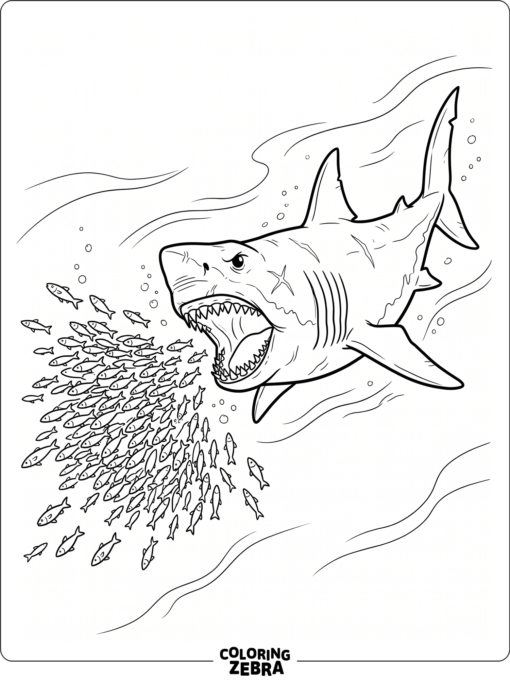 A hungry megalodon chasing fish in the ocean