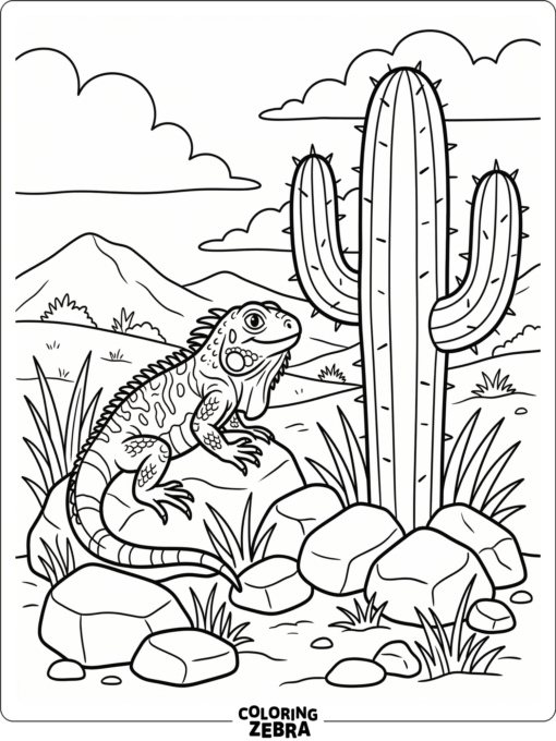 An iguana beside a cactus with desert stones and dry grass