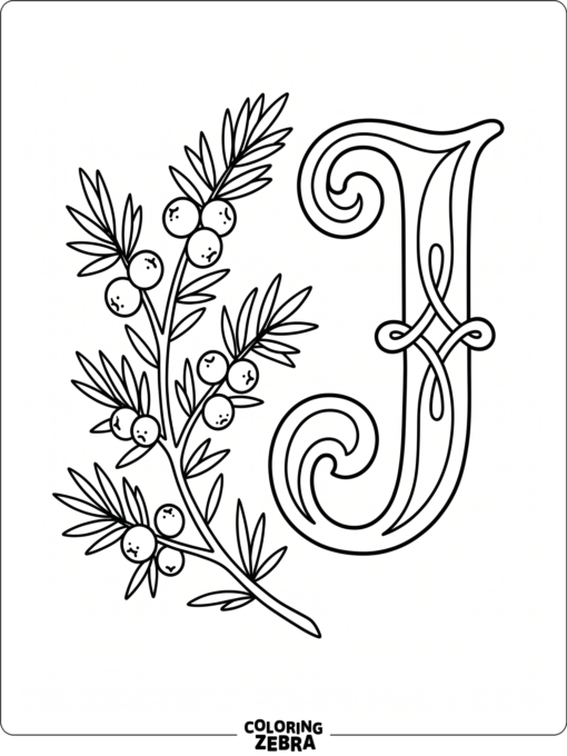 A juniper branch with berries next to a large letter J